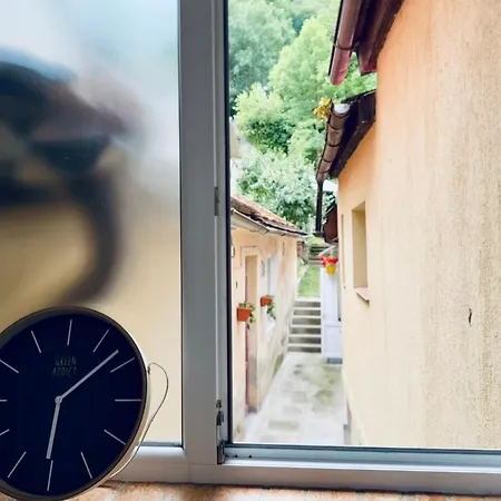 Your In Historic Center Apartment *