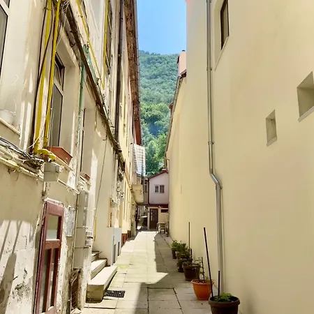 Your In Historic Center Appartement *